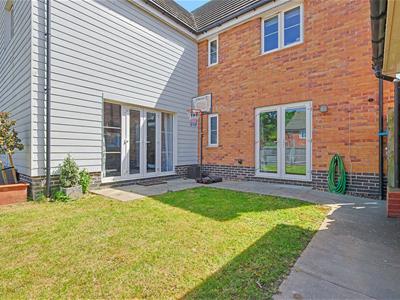 Picture 19